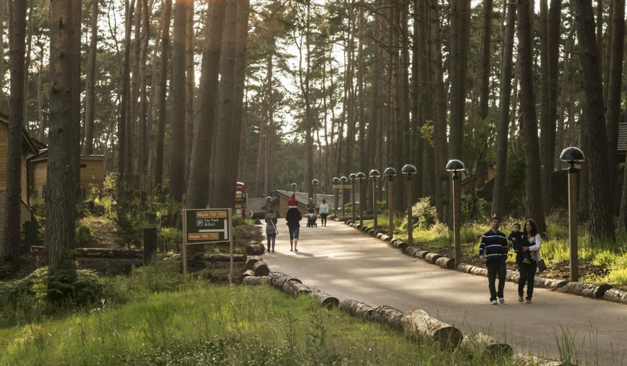 Center Parcs Woburn Forest Bedford Experience Bedfordshire